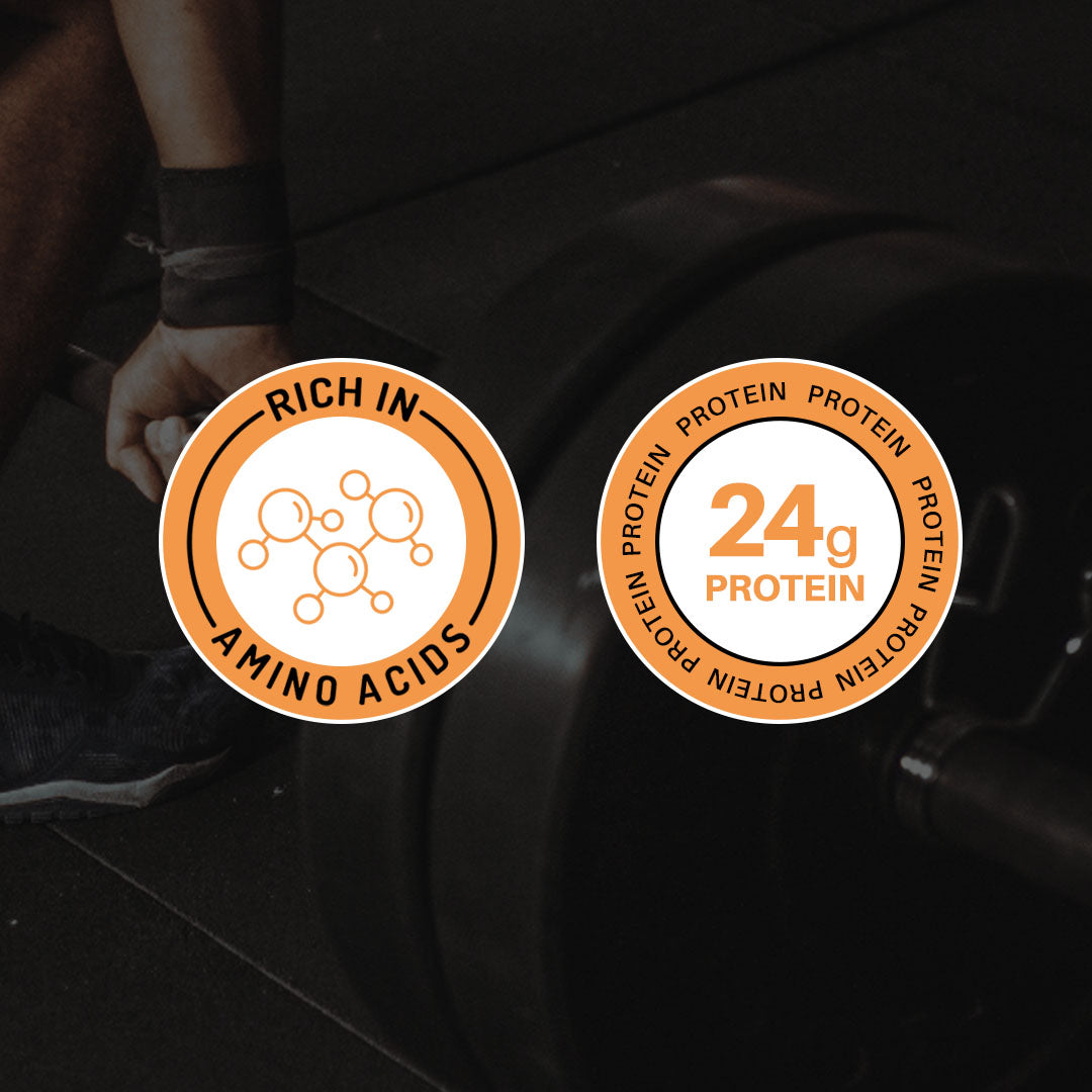 POLMLEK Whey Protein Concentrate instant 80%